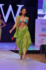 Model walk the ramp for Anupama Dayal Show at IRFW 2012 Day 1 in Goa on 28th Nov 2012 (76).JPG